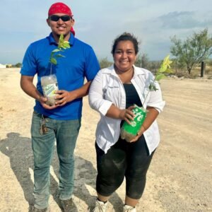 REFORESTAR